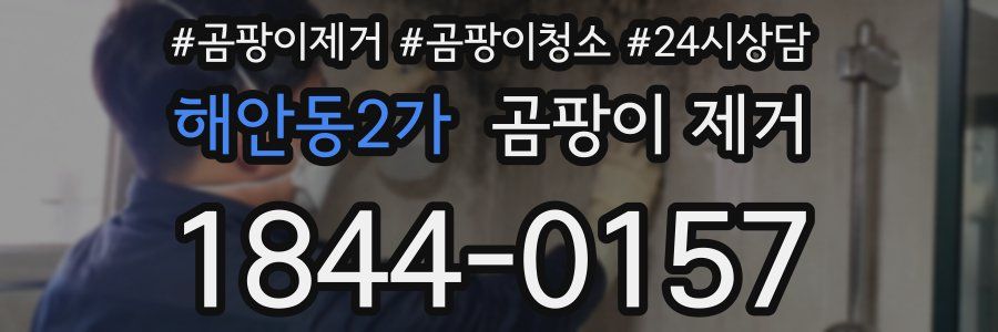 해안동2가 곰팡이 제거