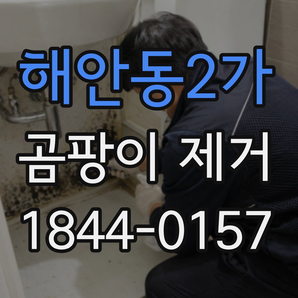 해안동2가 곰팡이 제거