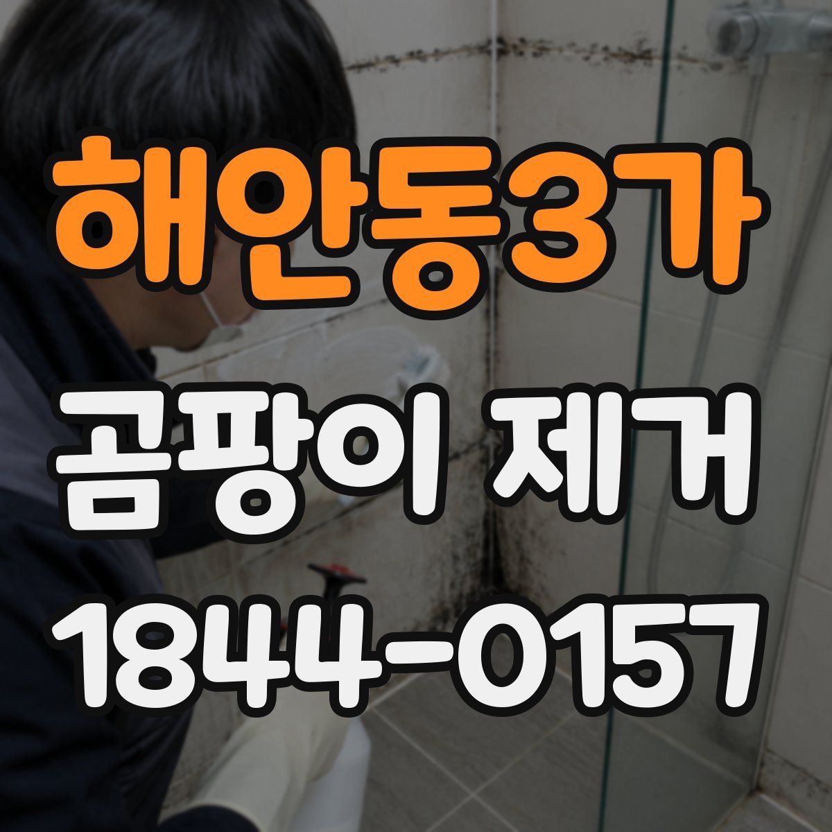 해안동3가 곰팡이 제거