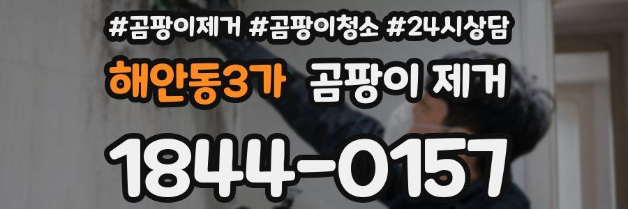 해안동3가 곰팡이 제거