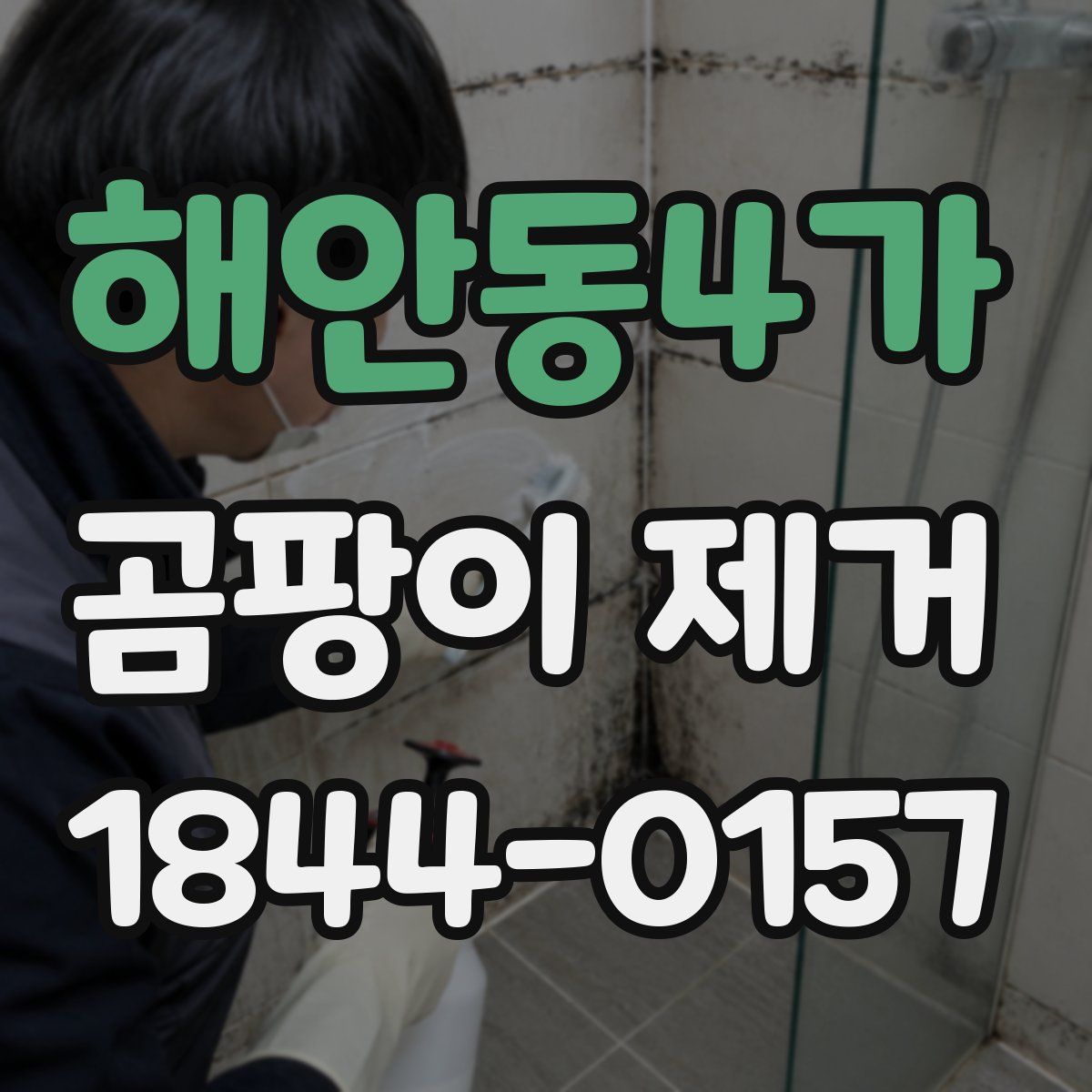 해안동4가 곰팡이 제거