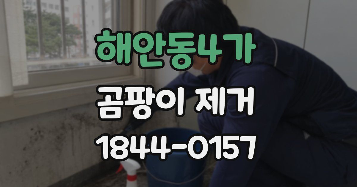 해안동4가 곰팡이 제거