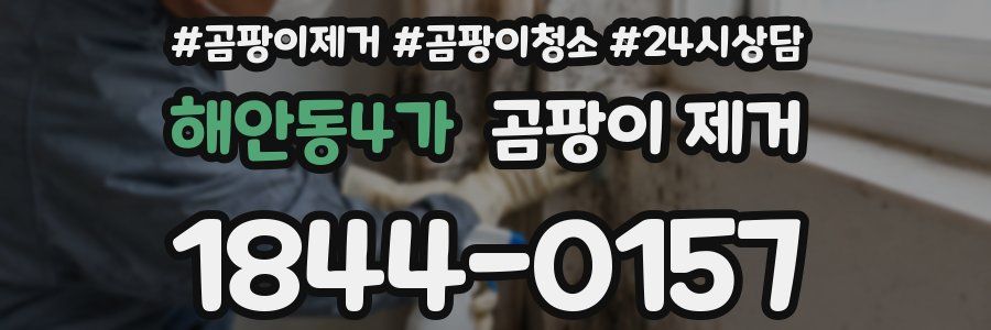 해안동4가 곰팡이 제거
