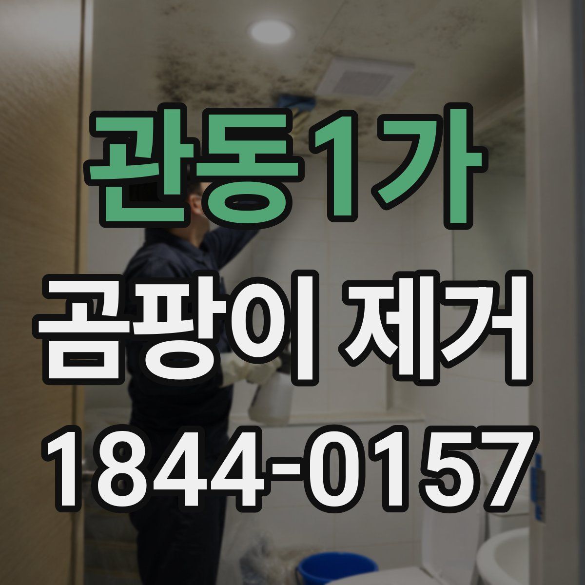 관동1가 곰팡이 제거