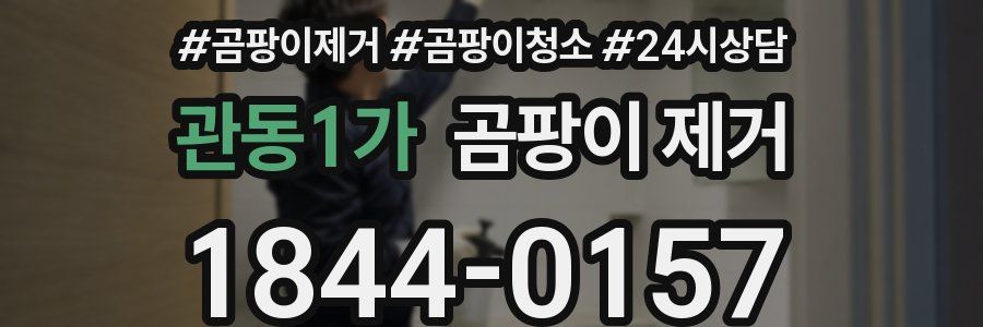 관동1가 곰팡이 제거