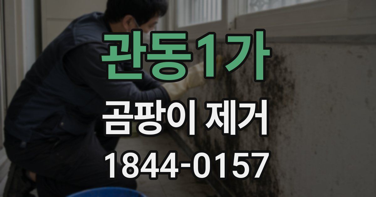 관동1가 곰팡이 제거