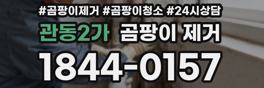 관동2가 곰팡이 제거