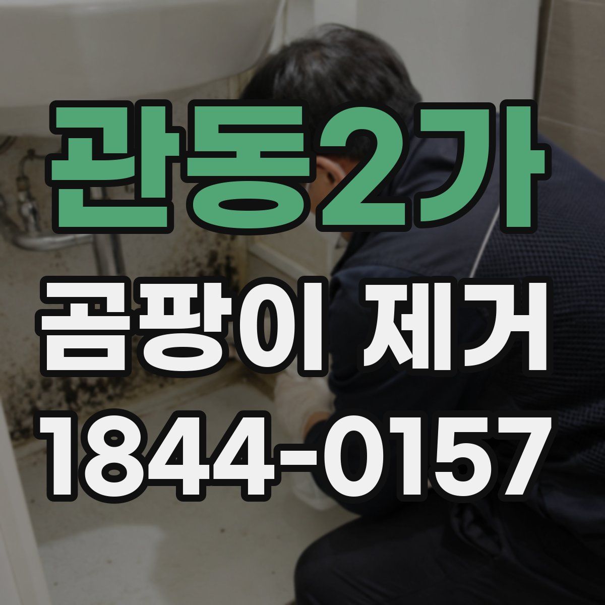 관동2가 곰팡이 제거