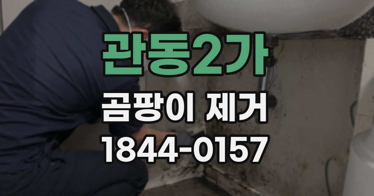 관동2가 곰팡이 제거