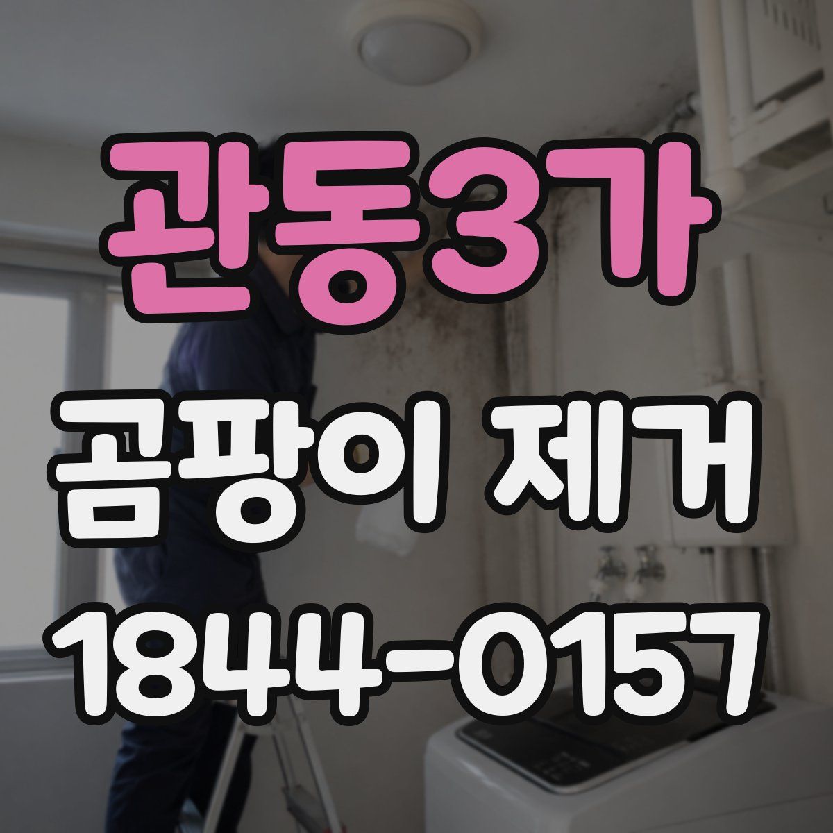 관동3가 곰팡이 제거