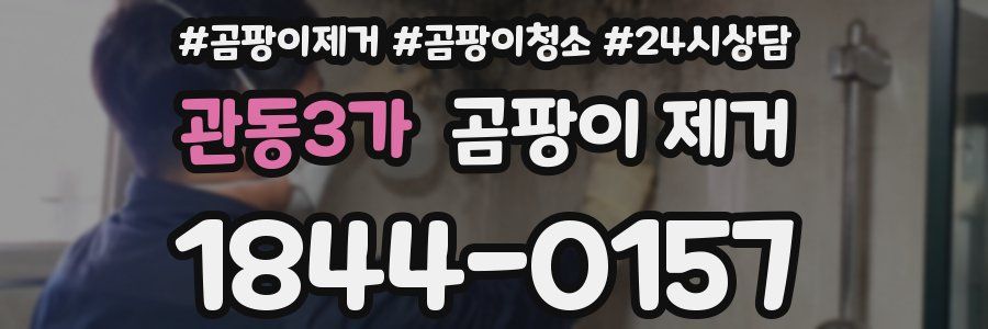 관동3가 곰팡이 제거