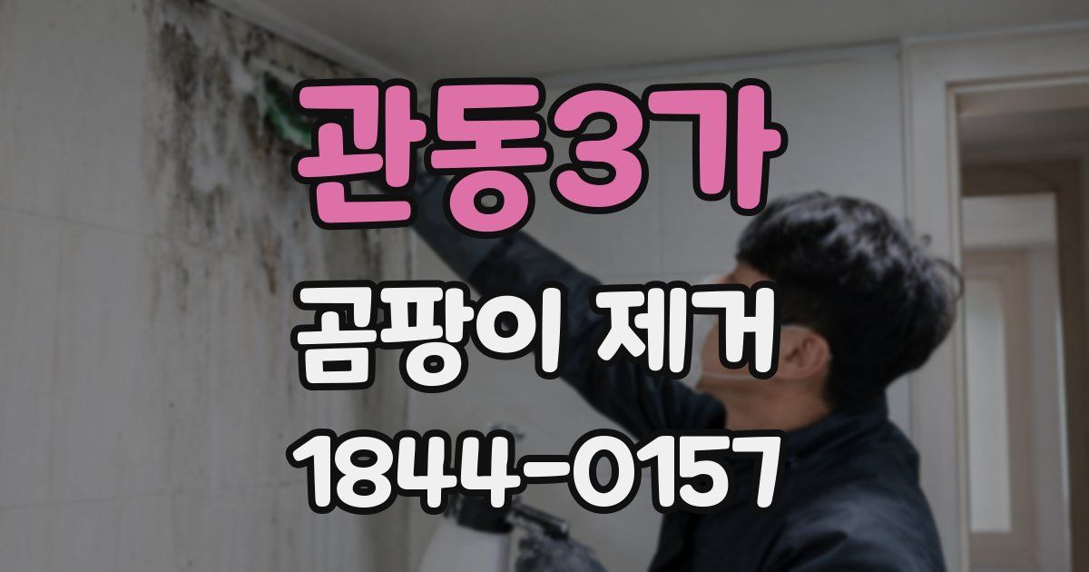 관동3가 곰팡이 제거
