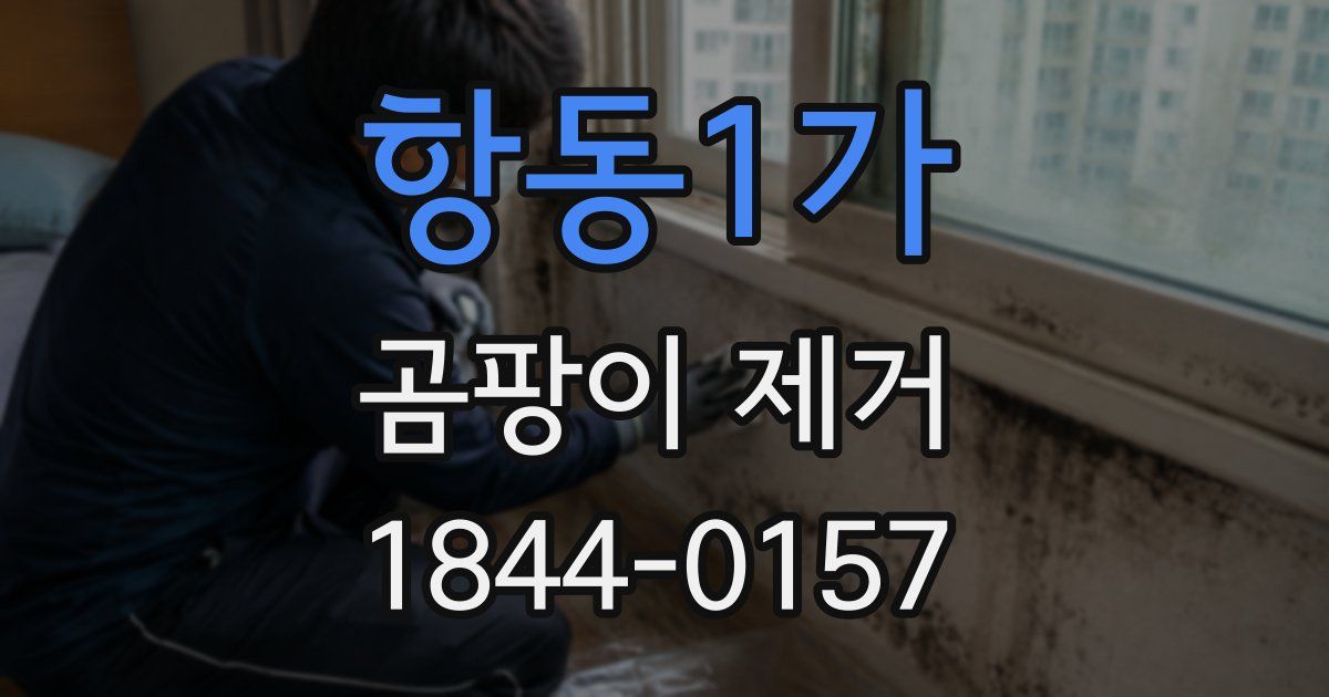 항동1가 곰팡이 제거
