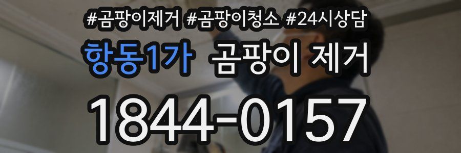 항동1가 곰팡이 제거