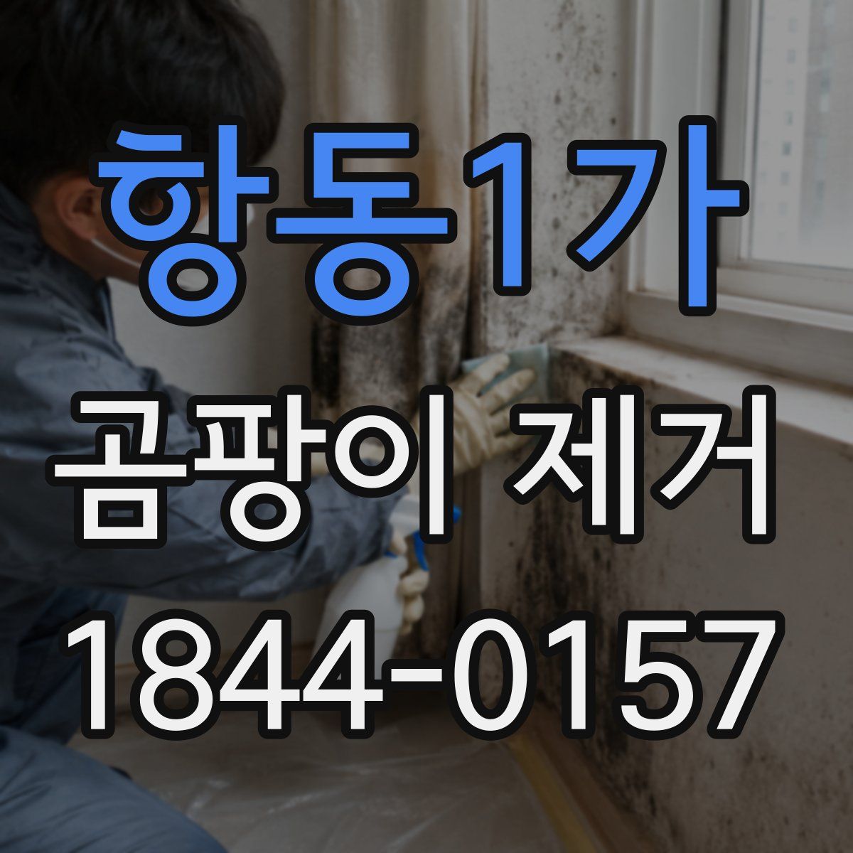 항동1가 곰팡이 제거