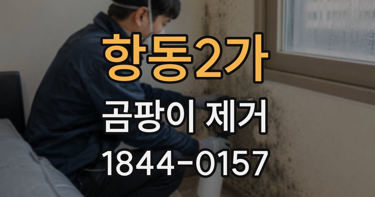 항동2가 곰팡이 제거