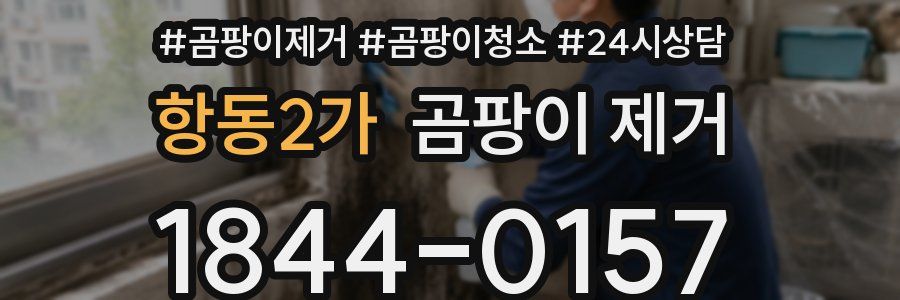 항동2가 곰팡이 제거