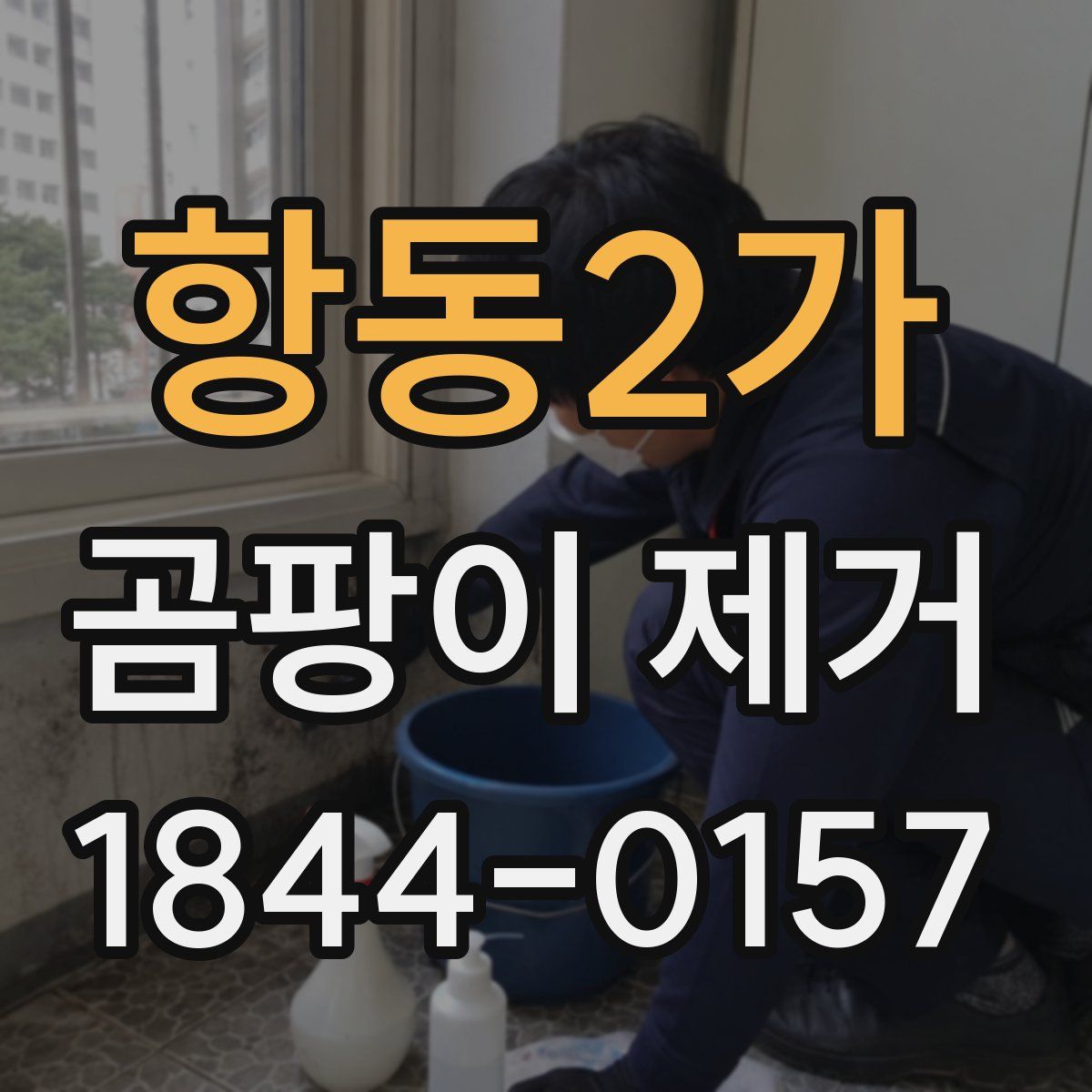 항동2가 곰팡이 제거