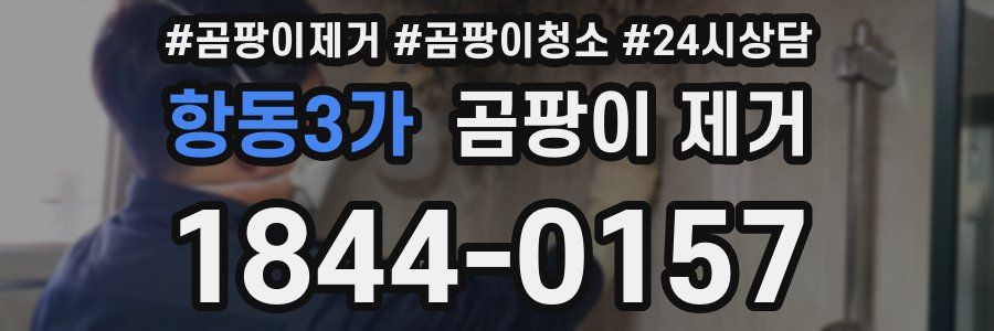 항동3가 곰팡이 제거