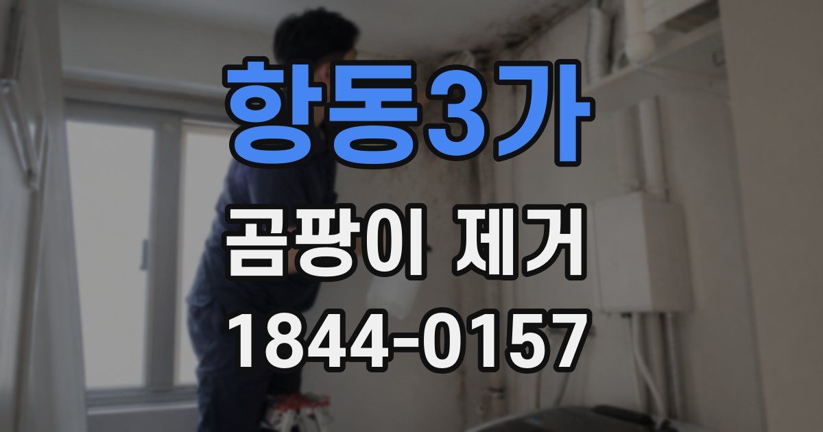 항동3가 곰팡이 제거