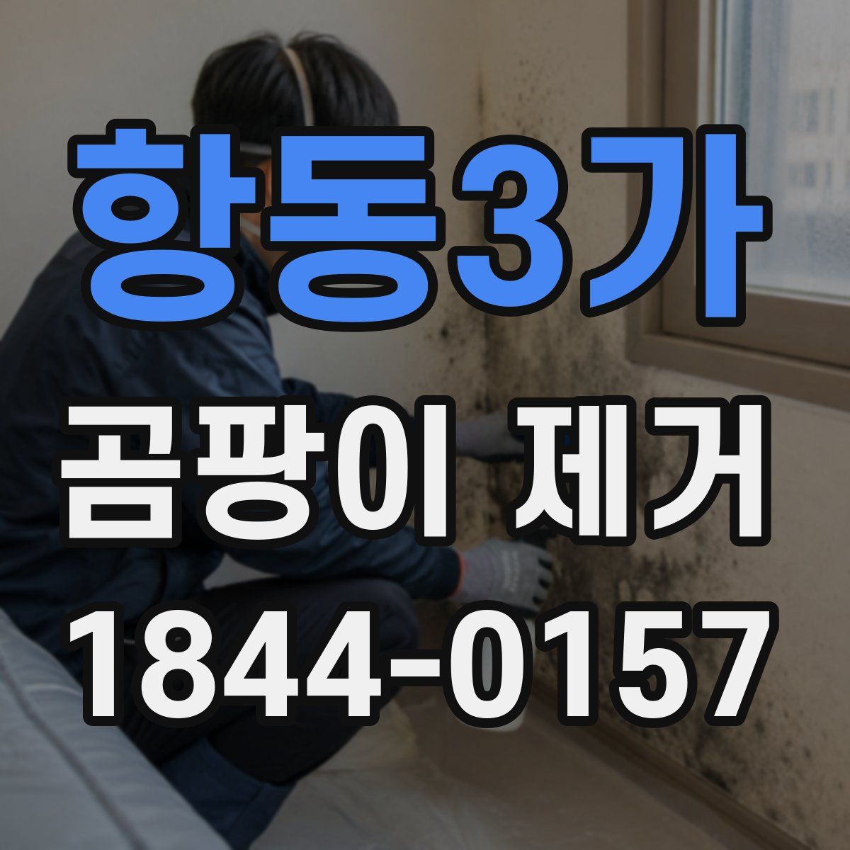 항동3가 곰팡이 제거
