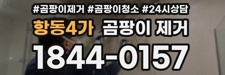항동4가 곰팡이 제거