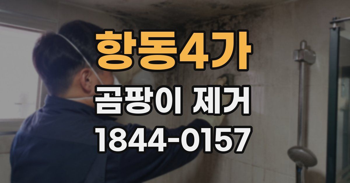 항동4가 곰팡이 제거