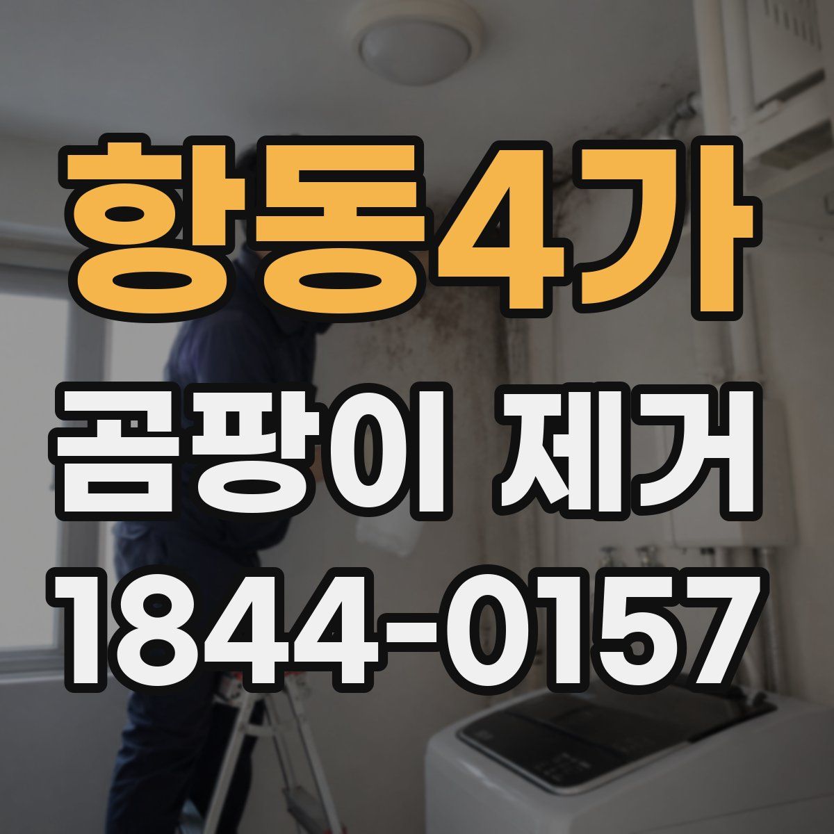 항동4가 곰팡이 제거