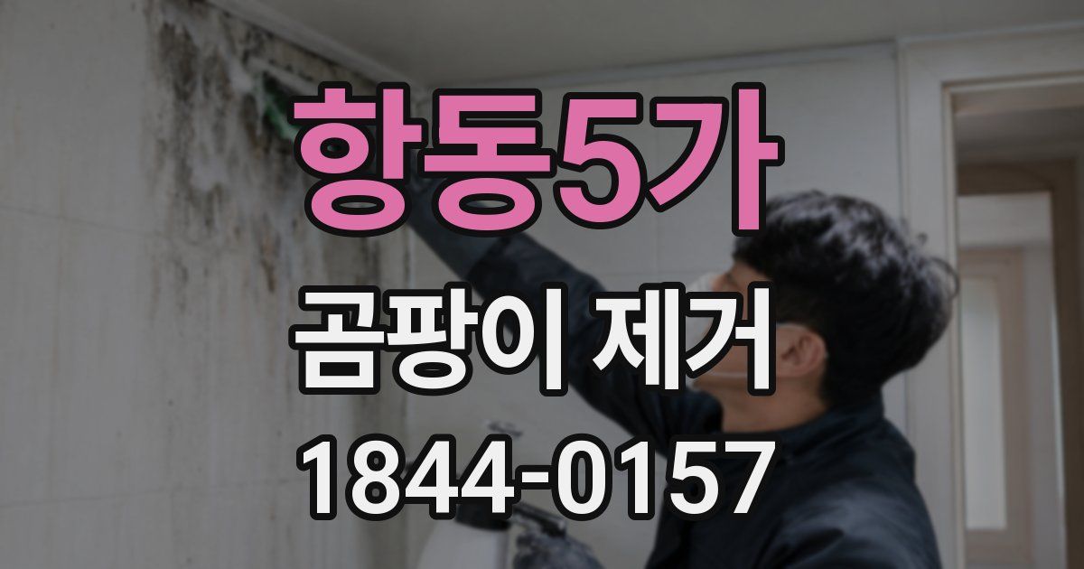 항동5가 곰팡이 제거