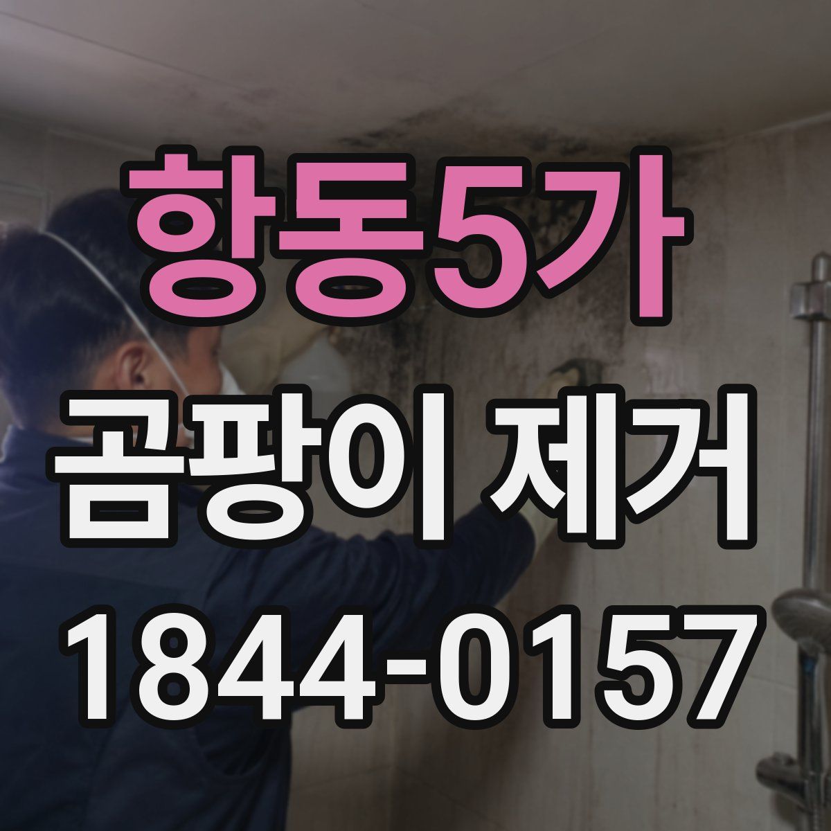 항동5가 곰팡이 제거