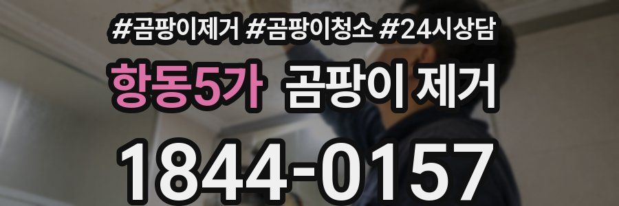 항동5가 곰팡이 제거