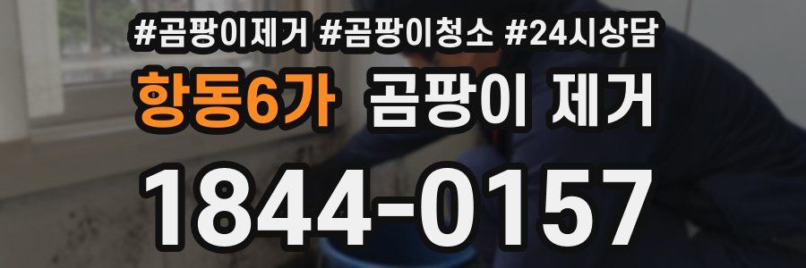 항동6가 곰팡이 제거