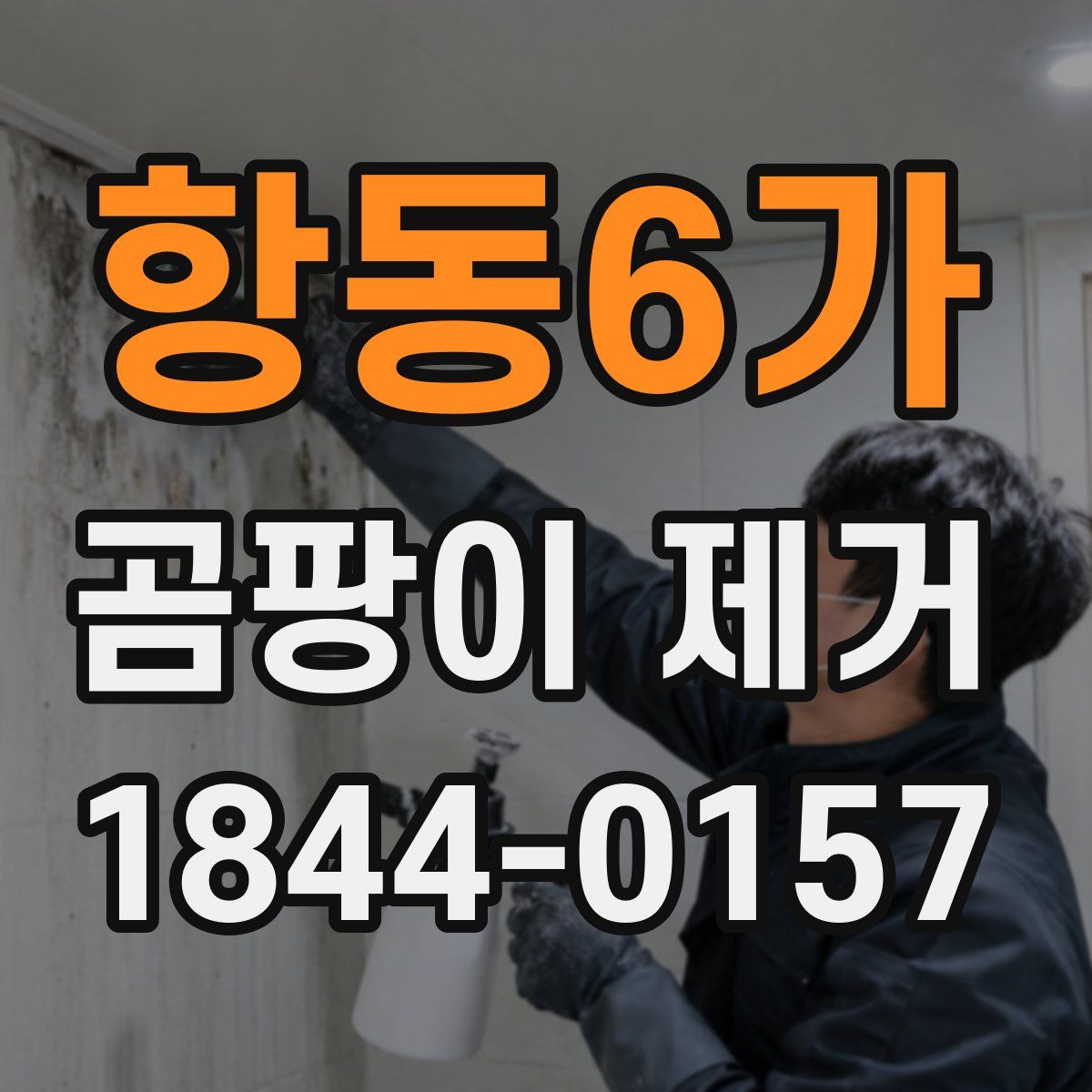 항동6가 곰팡이 제거