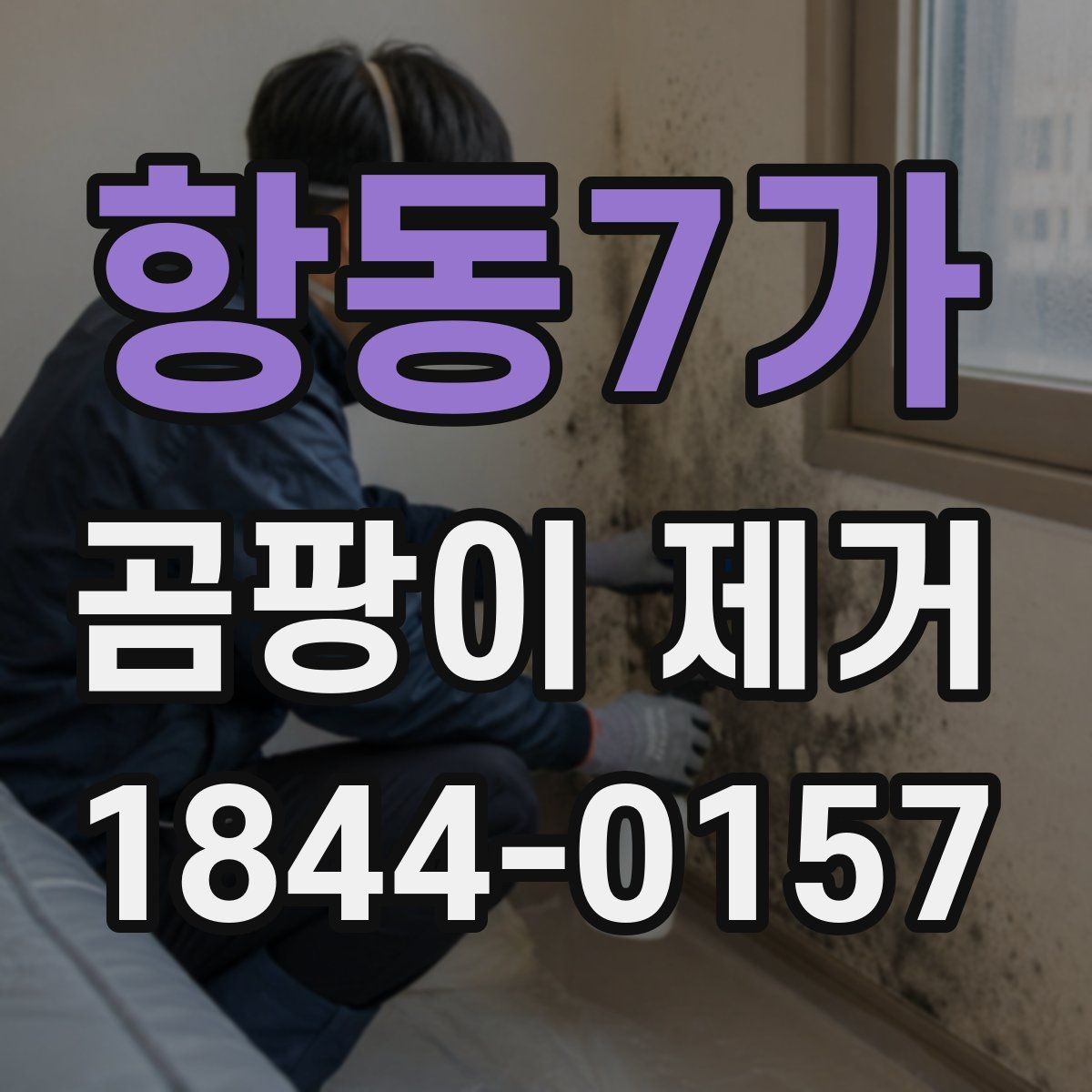 항동7가 곰팡이 제거 집안 습관부터 점검해야 하는 이유