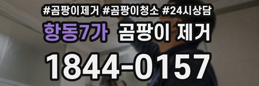 항동7가 곰팡이 제거