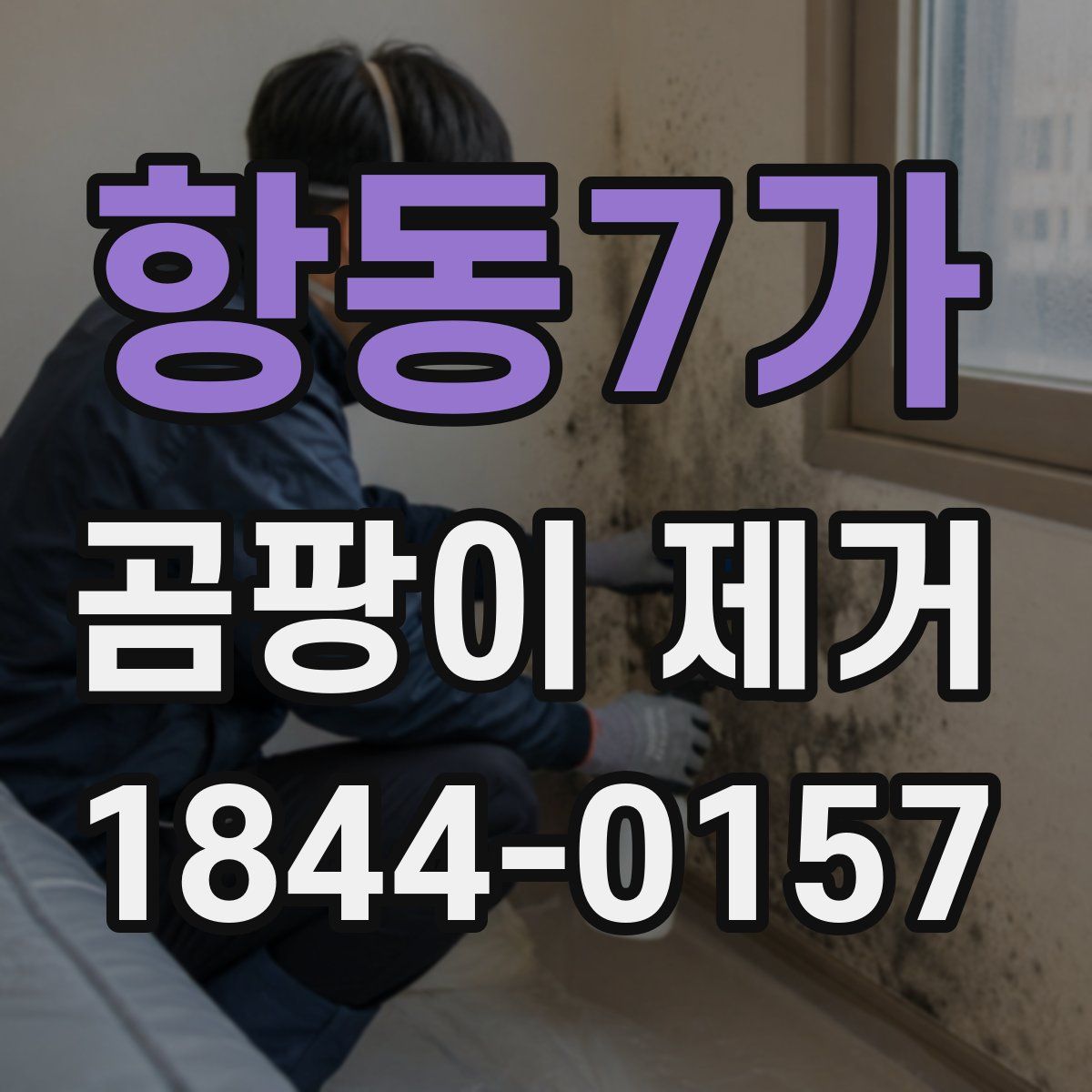 항동7가 곰팡이 제거