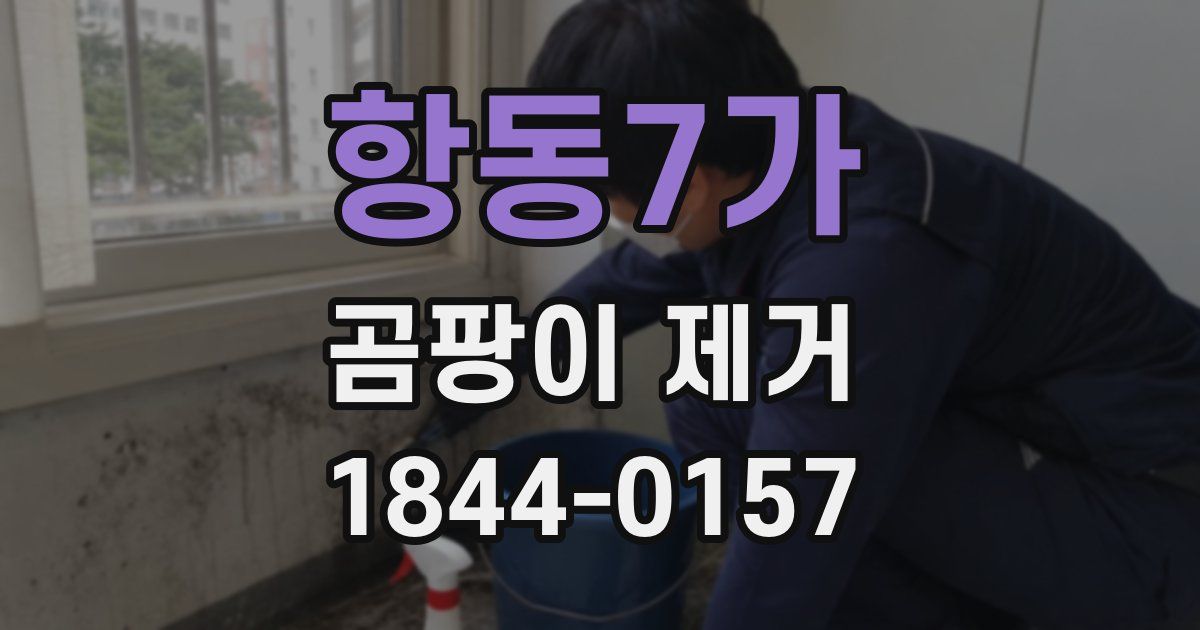 항동7가 곰팡이 제거