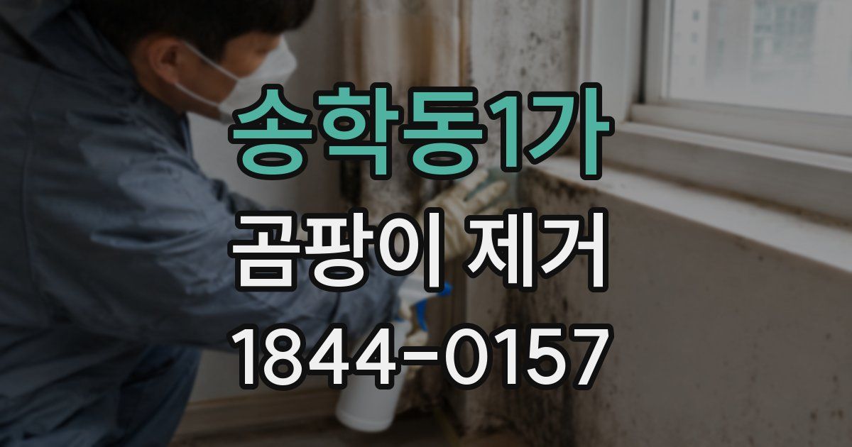 송학동1가 곰팡이 제거