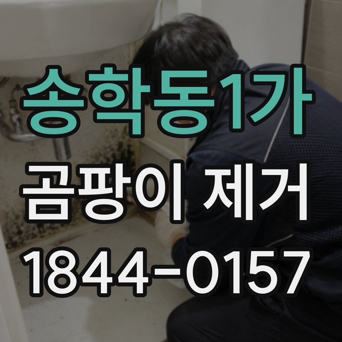 송학동1가 곰팡이 제거