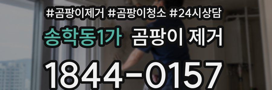 송학동1가 곰팡이 제거