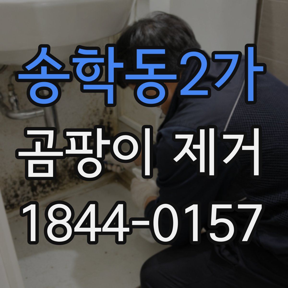 송학동2가 곰팡이 제거