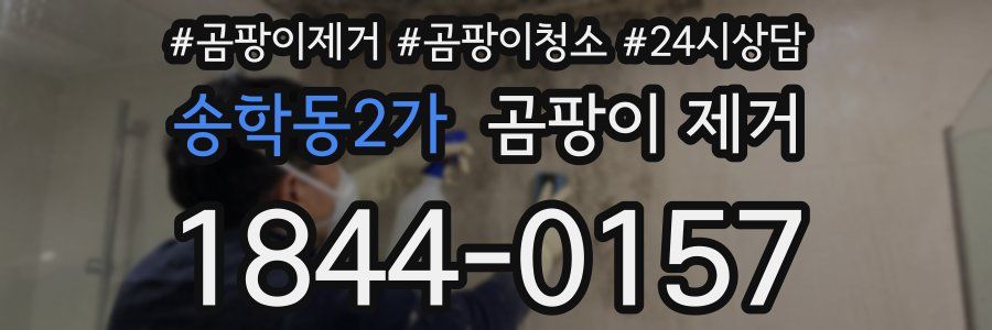 송학동2가 곰팡이 제거