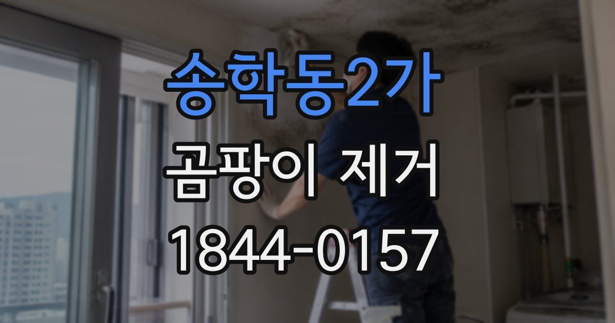 송학동2가 곰팡이 제거