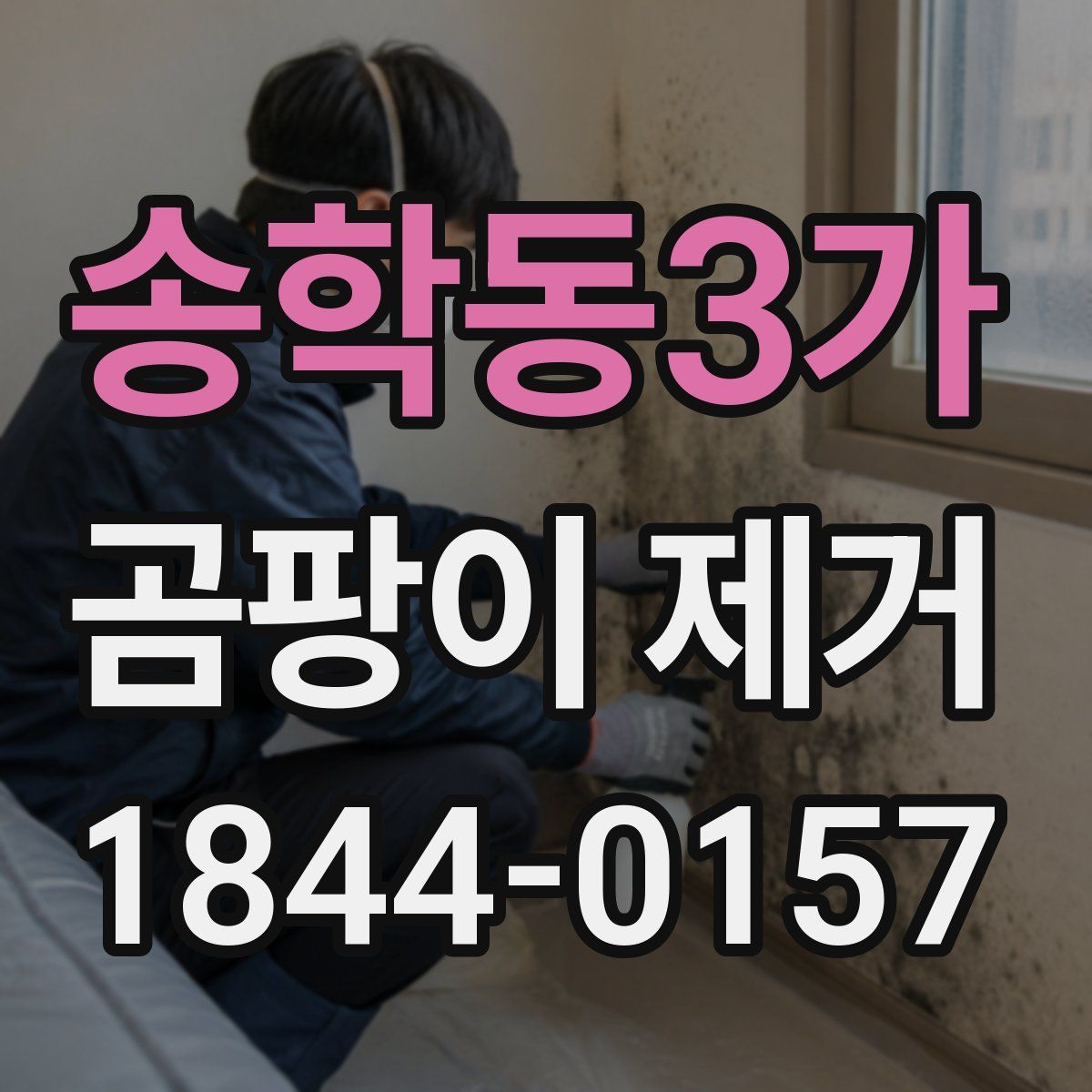 송학동3가 곰팡이 제거