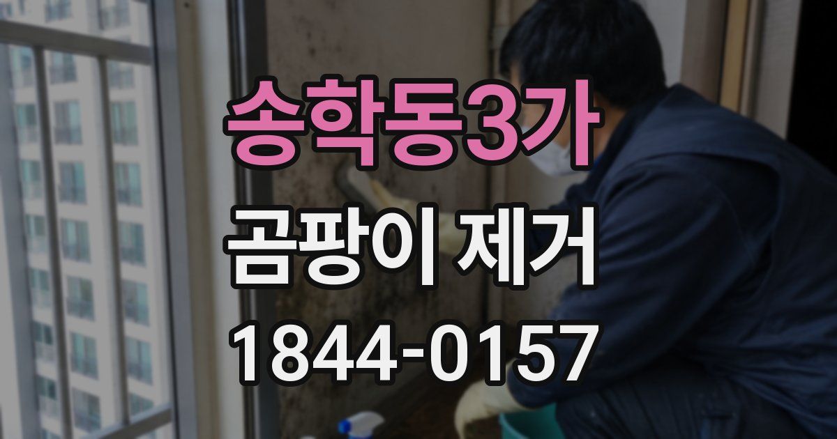송학동3가 곰팡이 제거