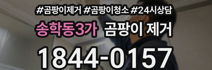 송학동3가 곰팡이 제거