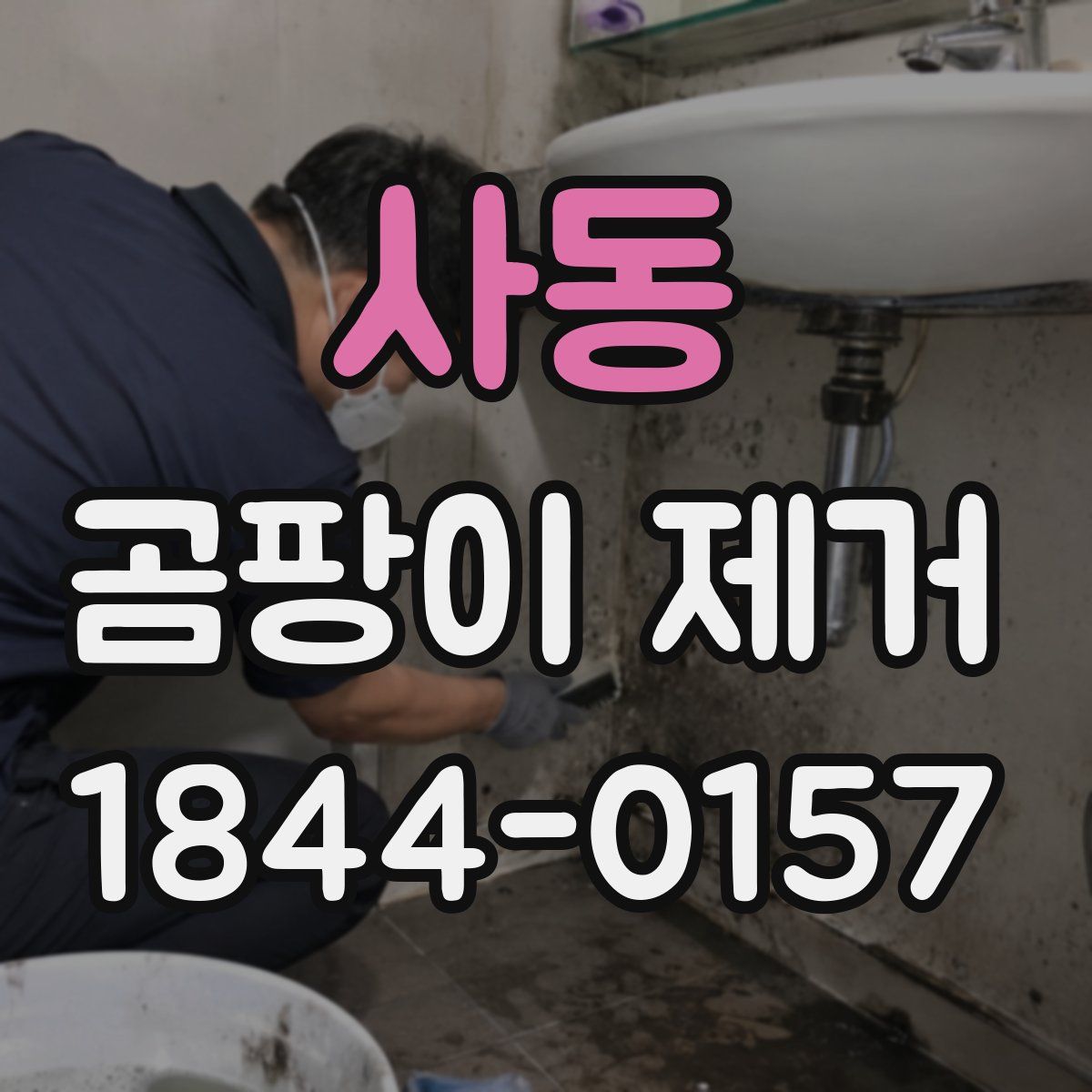 사동 곰팡이 제거