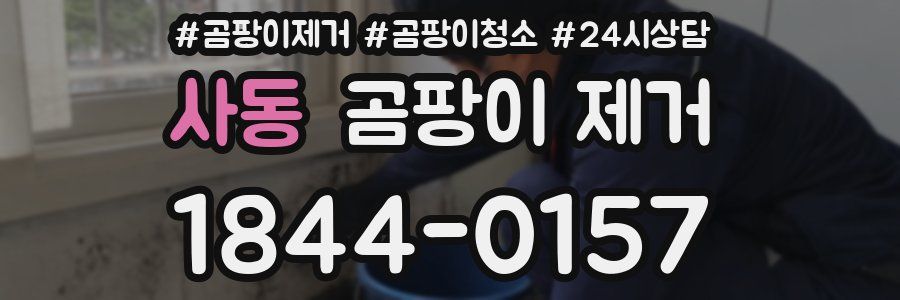사동 곰팡이 제거
