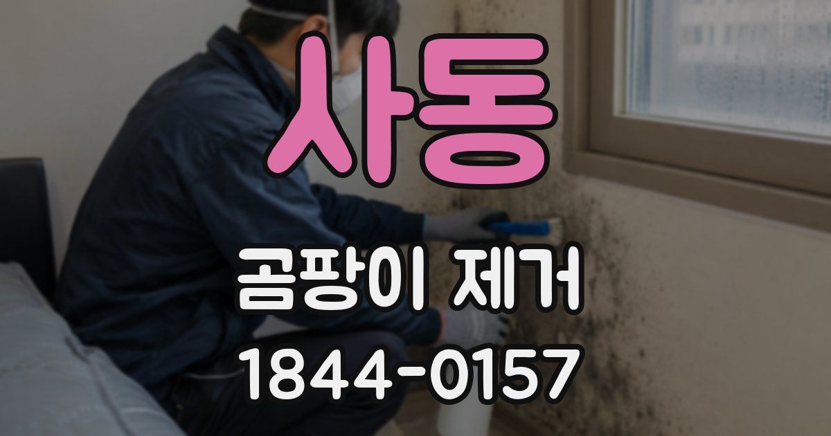 사동 곰팡이 제거