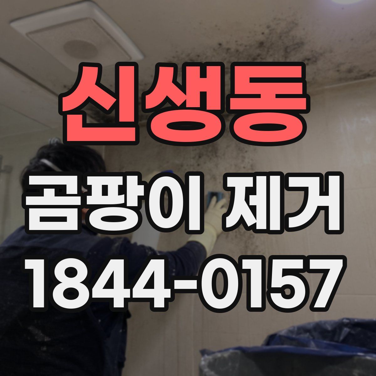 신생동 곰팡이 제거